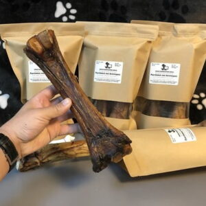 Pferdeknochen mit Achillessehne