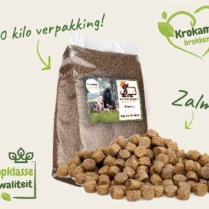 bestes Hundefutter Lachs