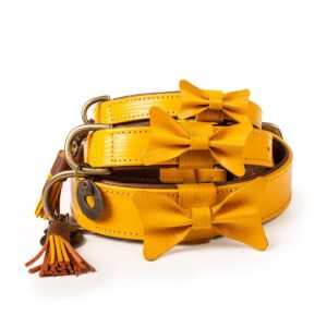 DWAM Bibi-Halsbänder