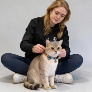 max molly Smart ID Cat Collar Summertime